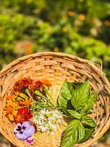 6C1B58C6-7D2C-4F2F-BC25-41AB6C9CFC55.jpg
