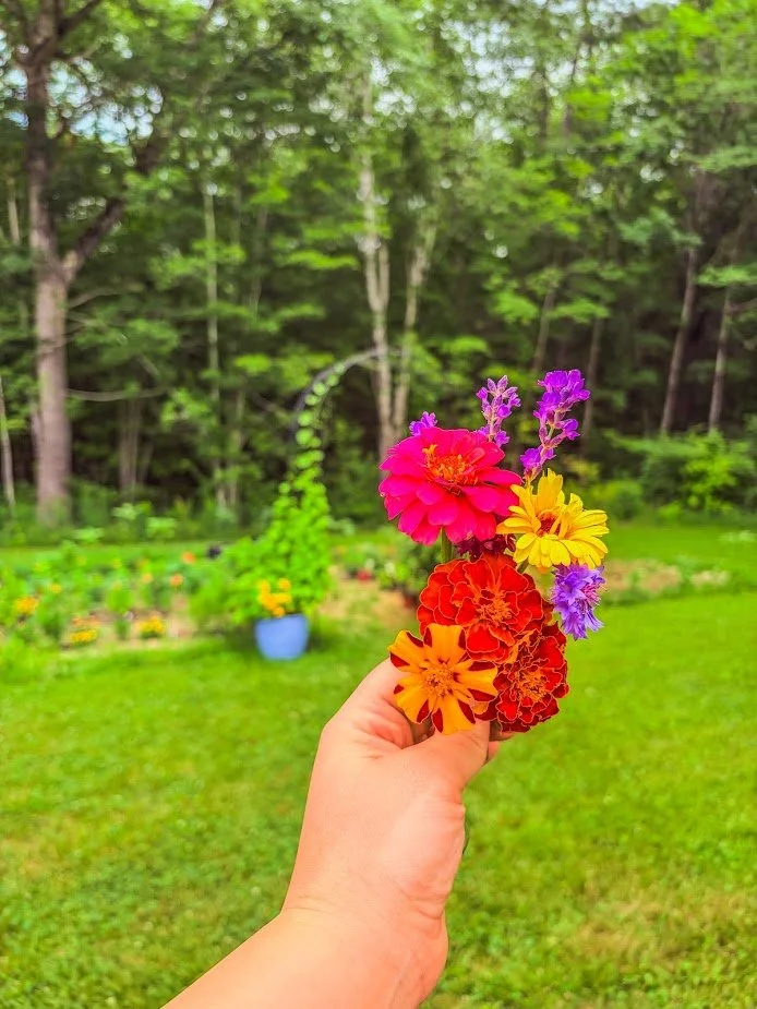 106BFAC4-ECC5-4528-8A04-239079163D8E.jpg