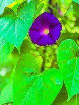 1F9E379D-96C5-4706-85A9-E53978AD0A65.jpg