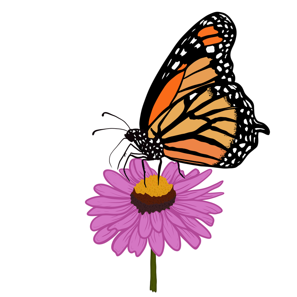 Butterfly sticker.png