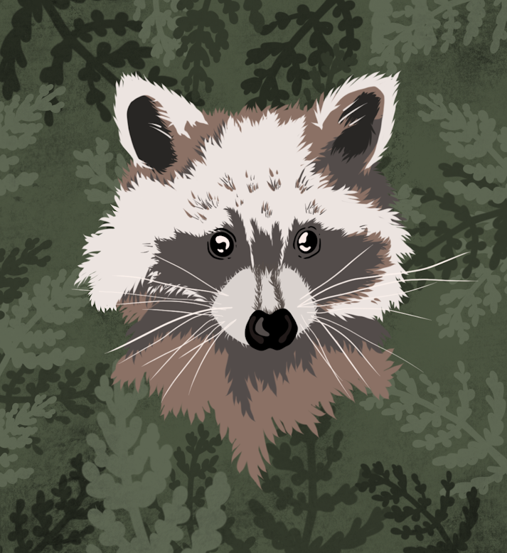 Racoon Print.png
