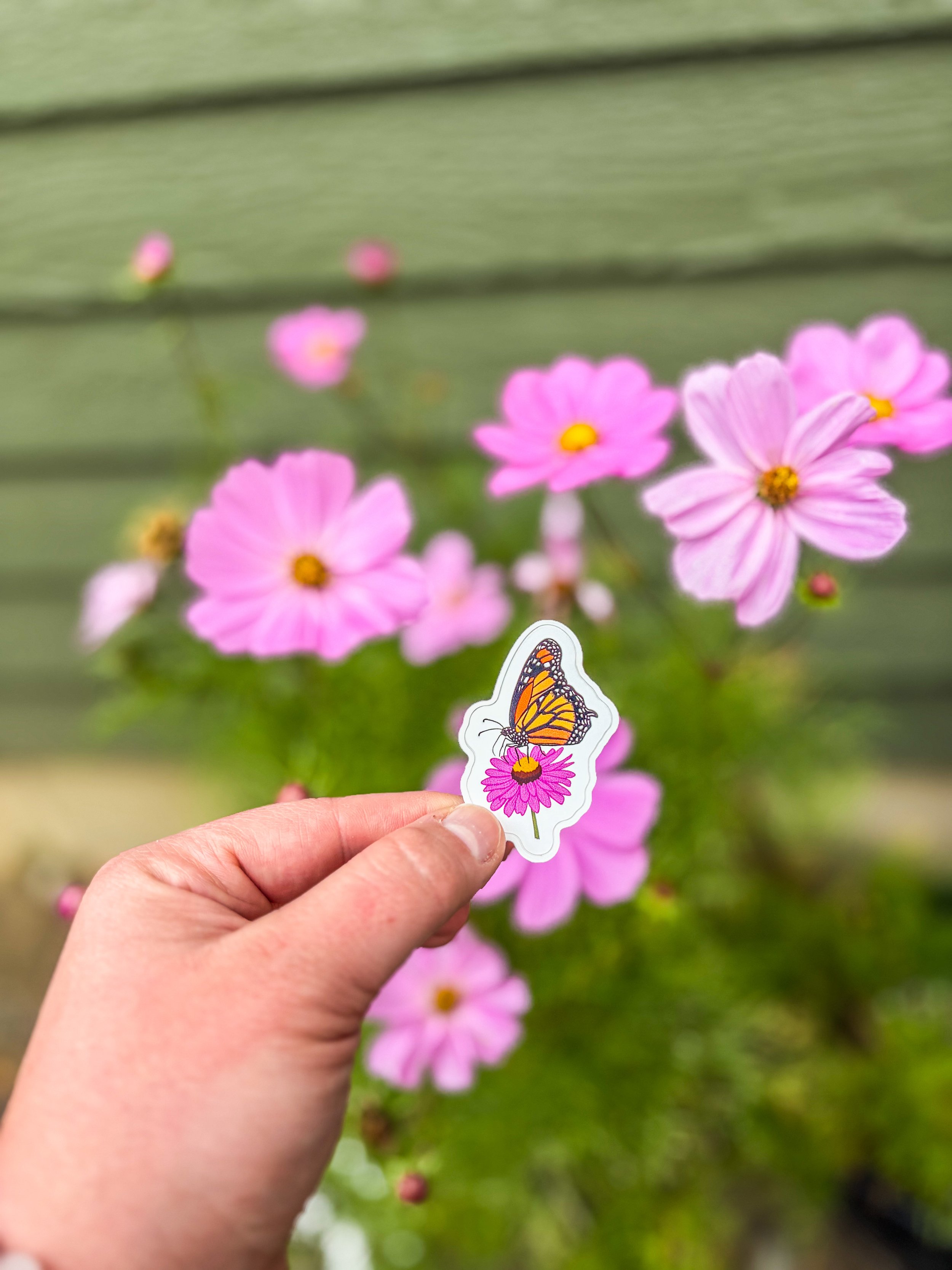 Butterfly Sticker