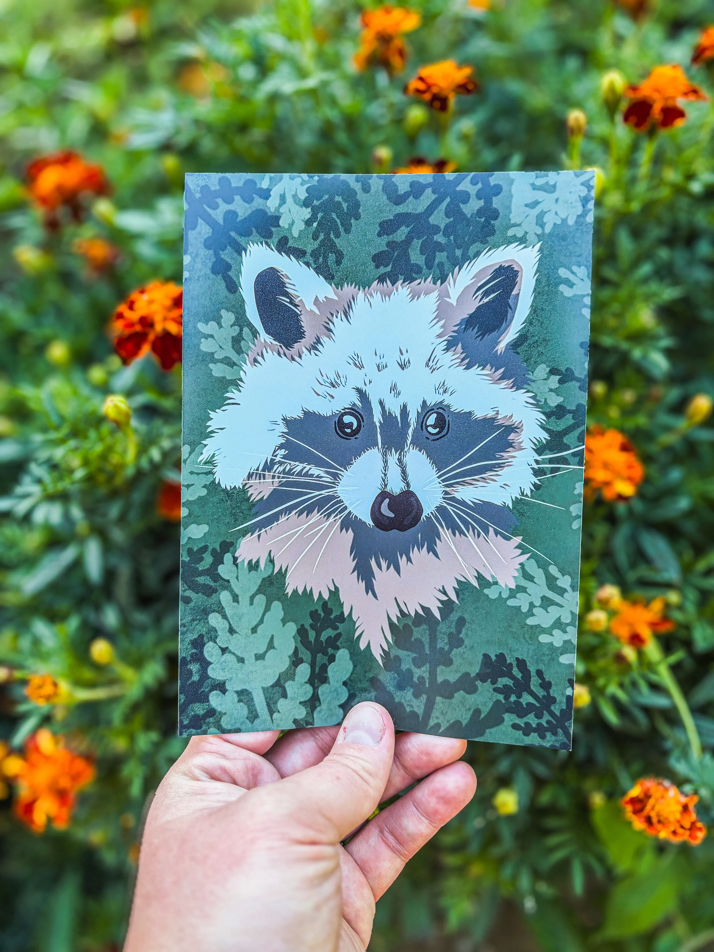 Raccoon Portrait Art Print 5x7