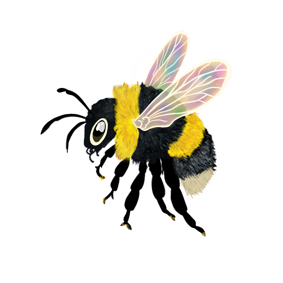 bee.png