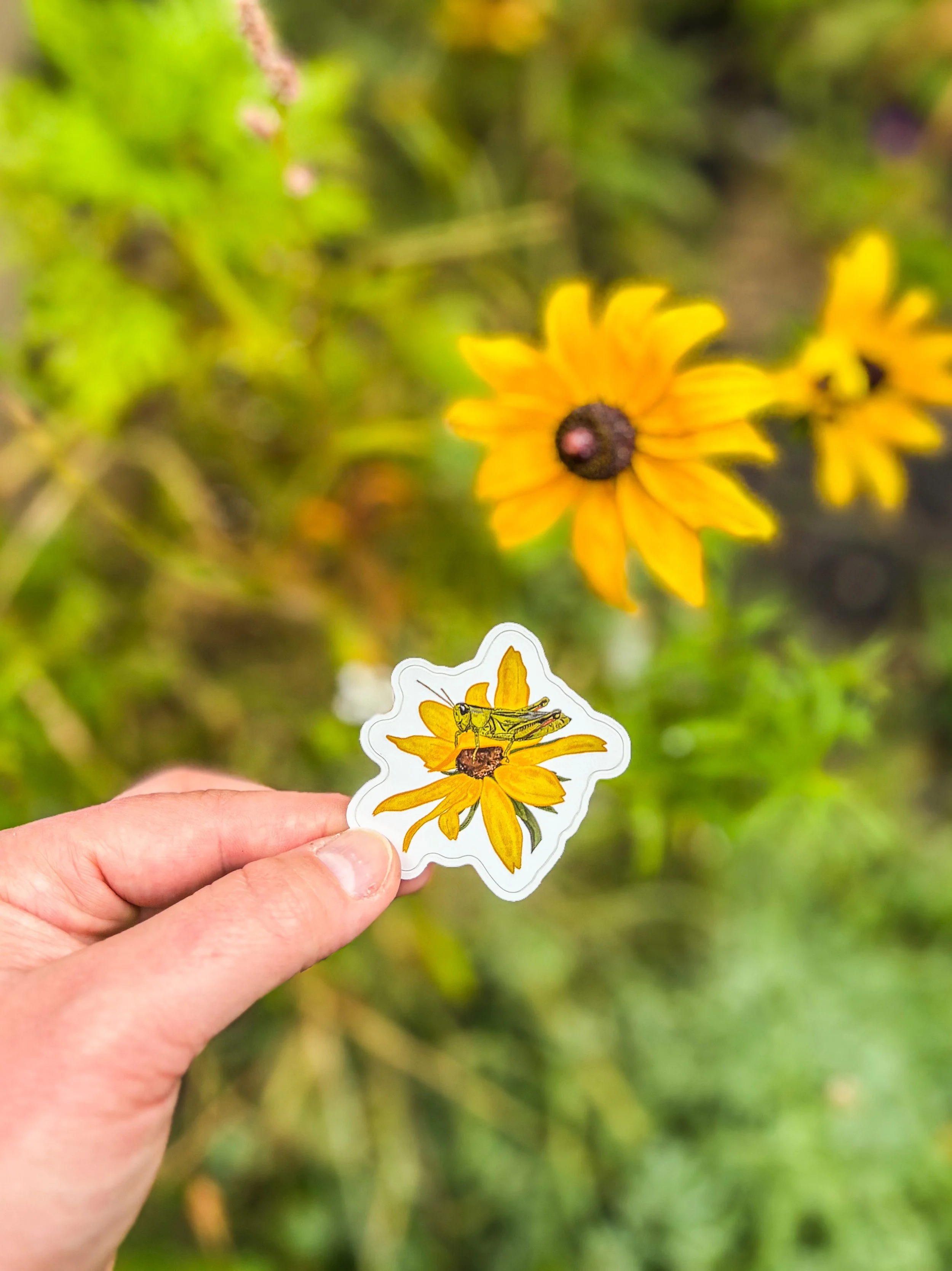 Grasshopper Sticker