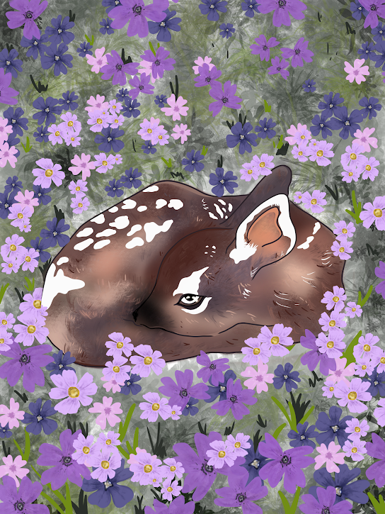 Deer in Field Print.png