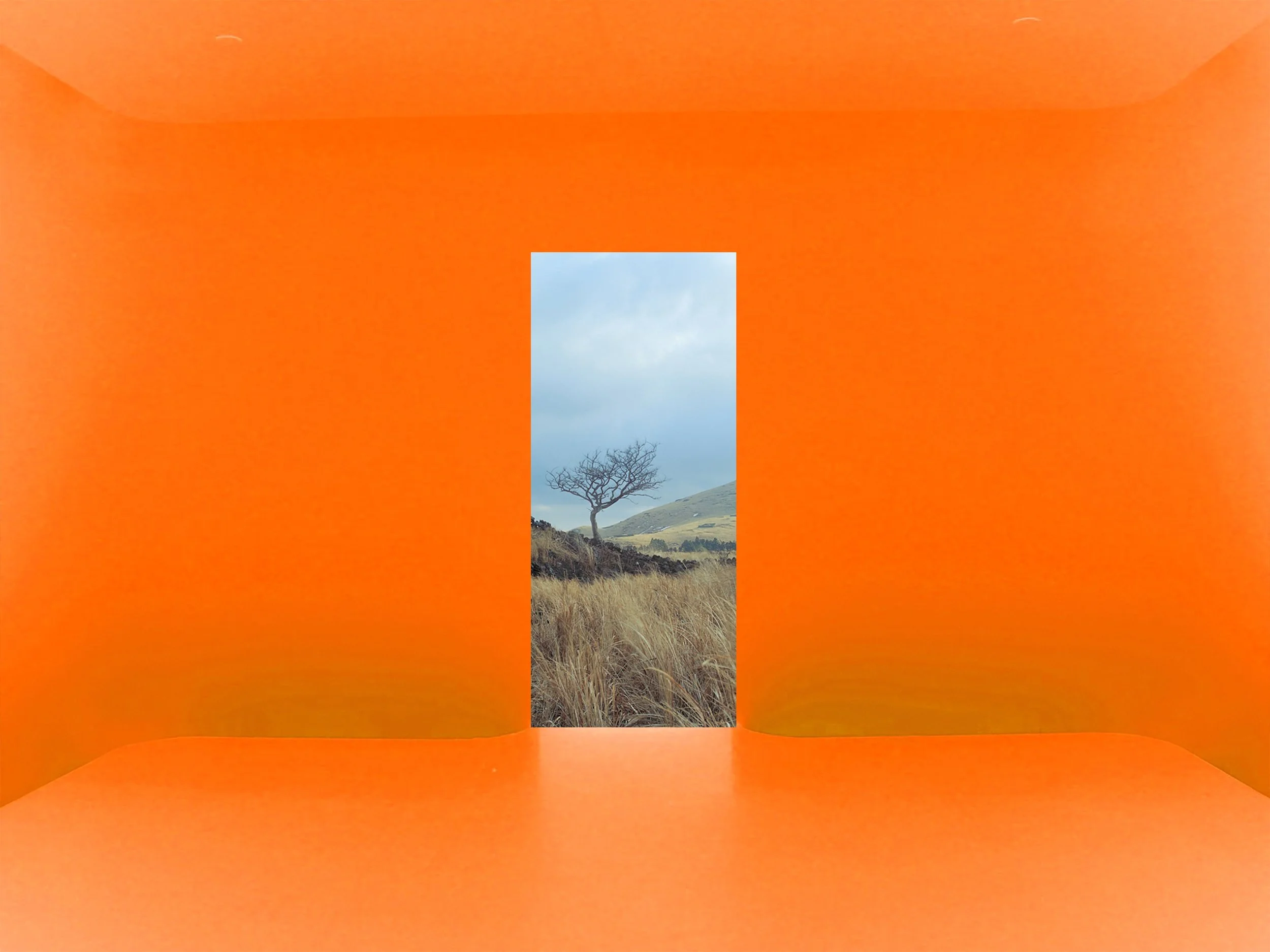 A rectangular opening in an orange room reveals a landscape with a tree, grassy fields, hills, and a cloudy sky.