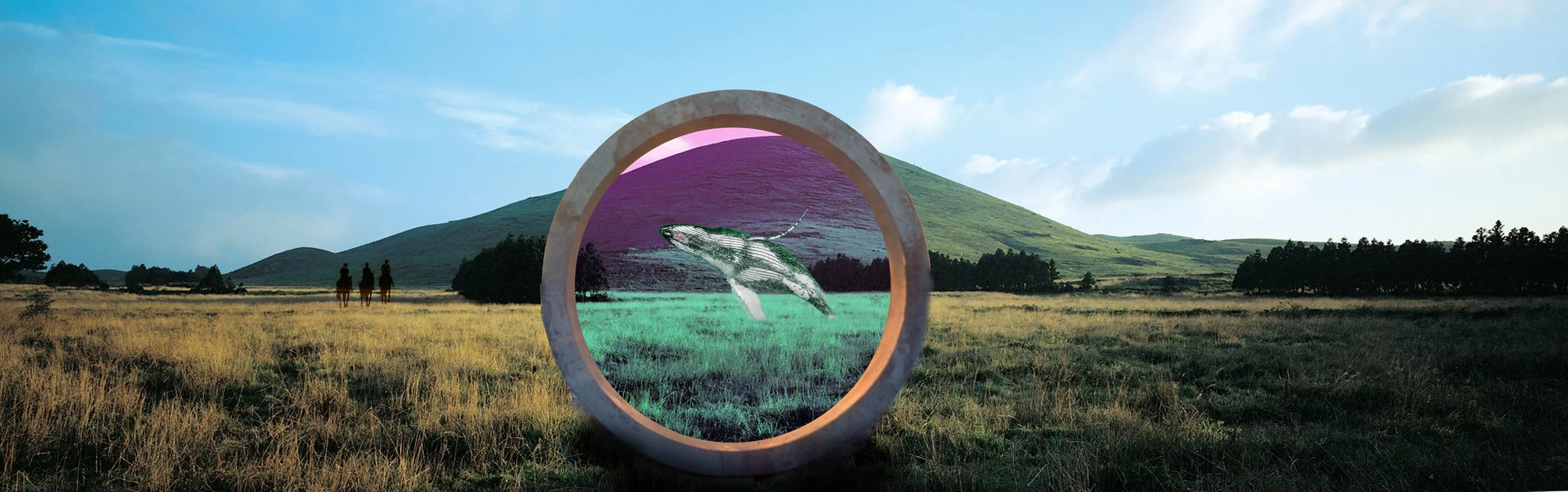 Land of digital nature