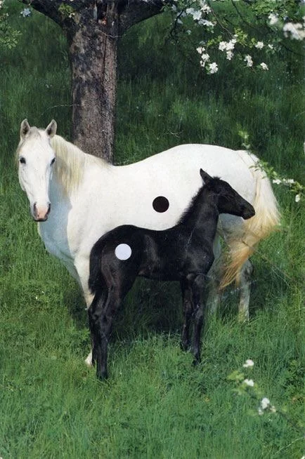 Boosting IVF Success with Acupuncture