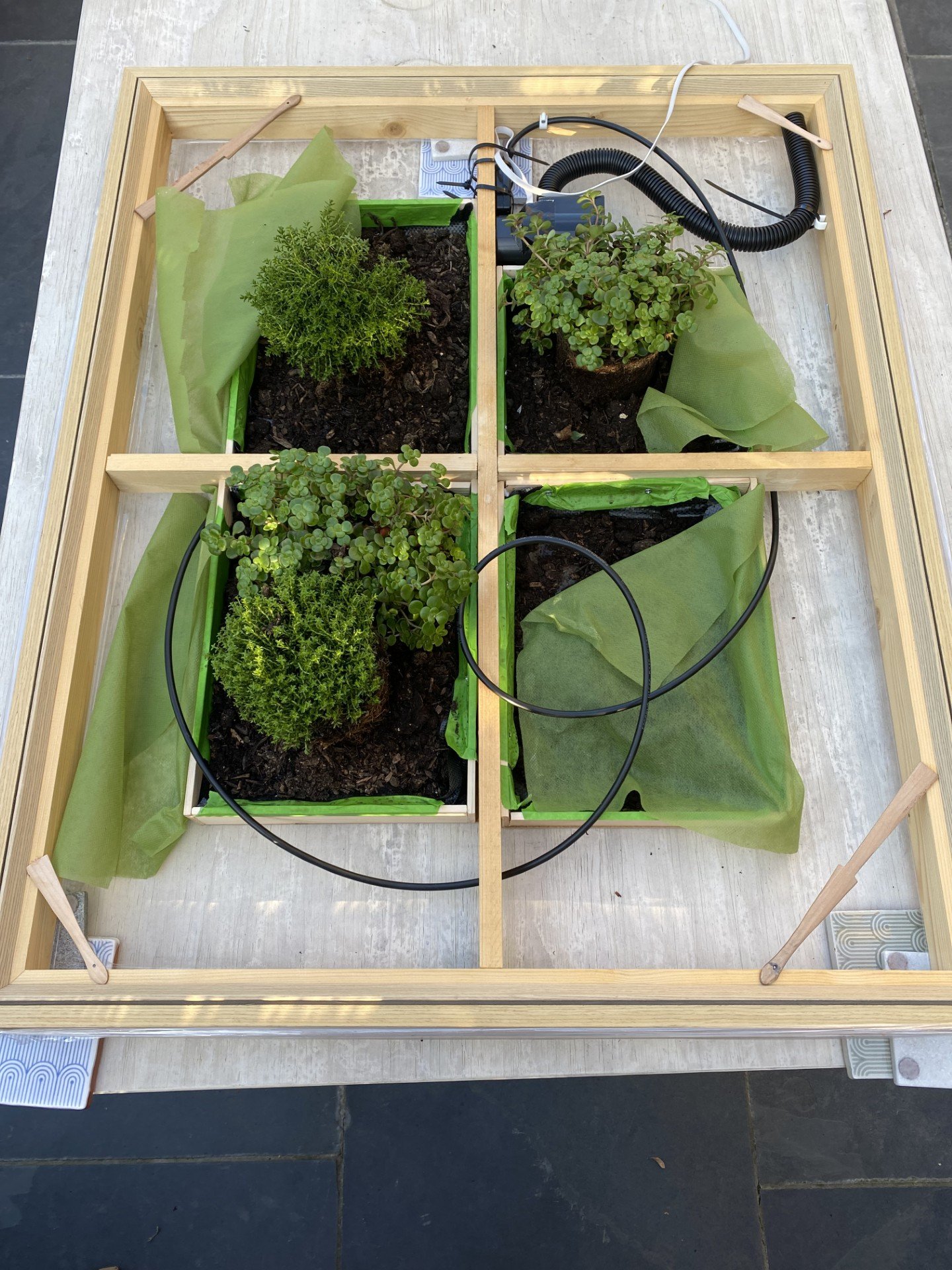 automated watering system in action