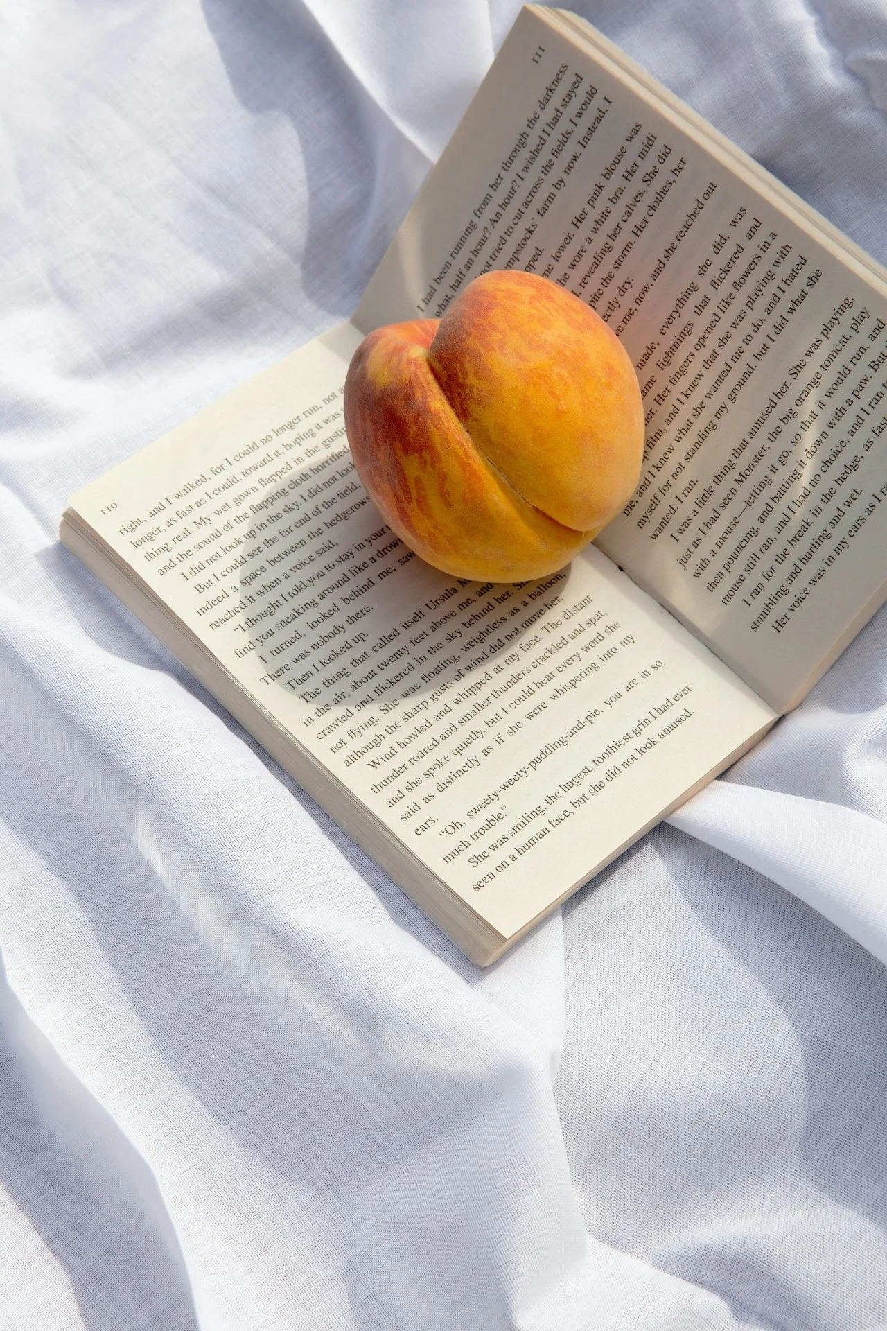 Smut book and intimacy coaching