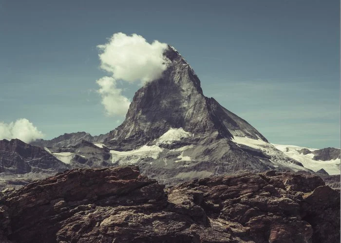 Dettaglio della stampa Giclée su carta di canapa Hahnemühle dell'opera 'Il cervo' di Jorge Omeñaca.
