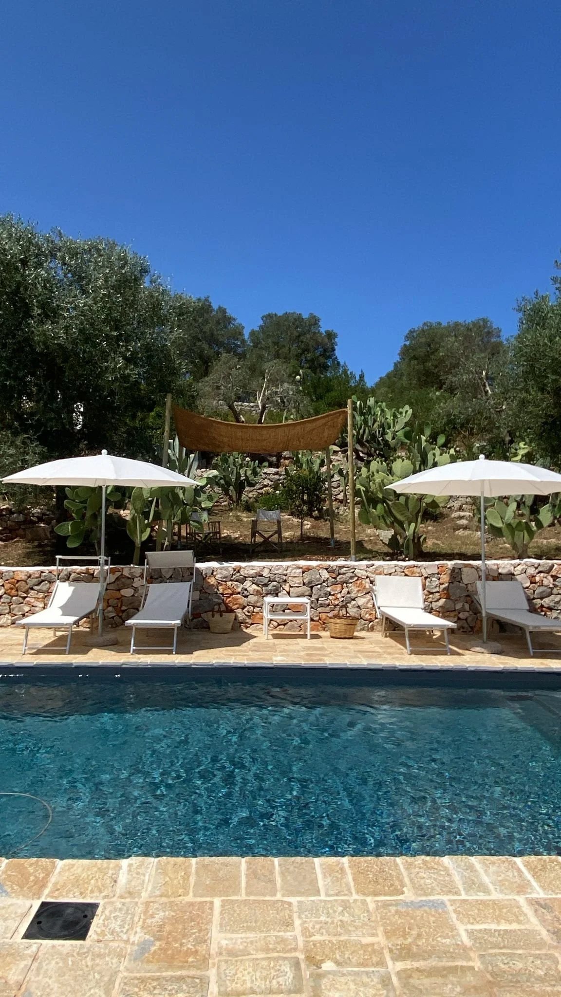 Vista di una piscina con tre lettini e ombrelloni, una parete di pietre e piante di cactus, con un'area verde e un cielo azzurro sopra.