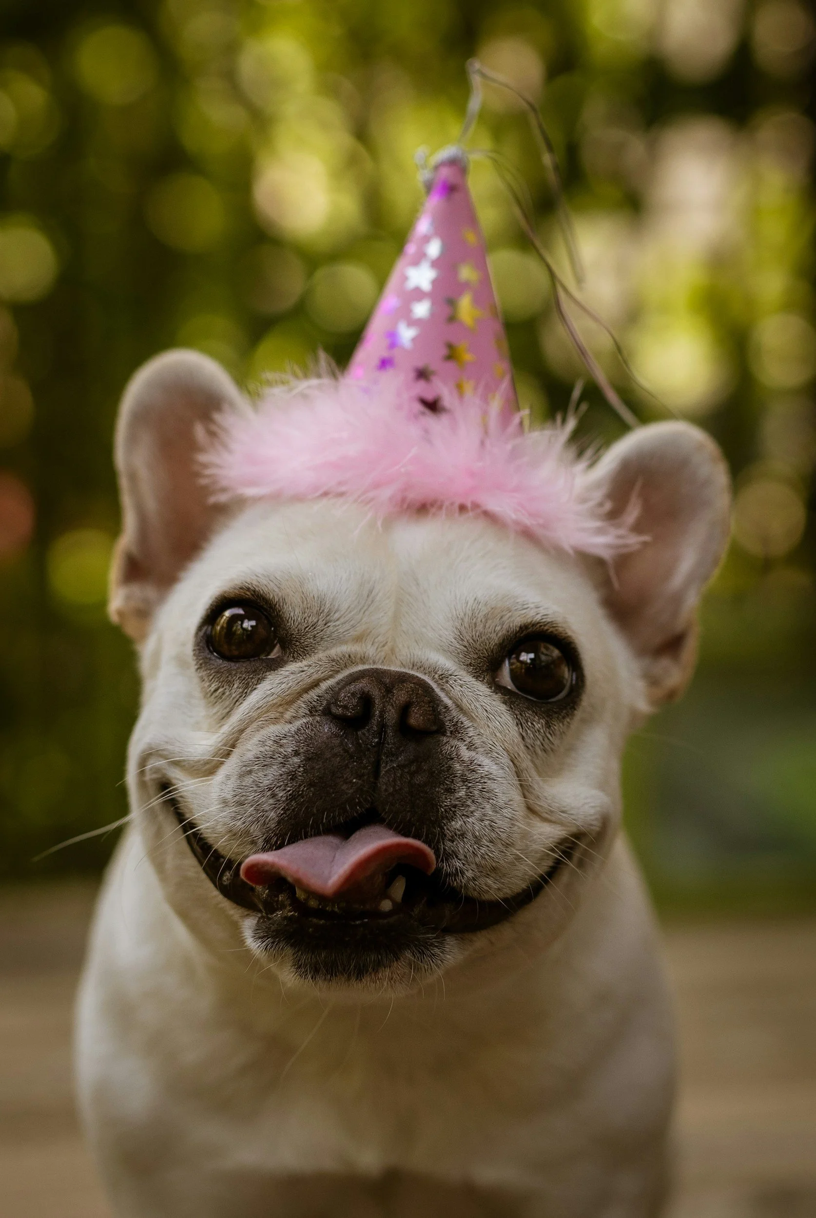 Why Birthdays Can Feel Complex — and What They Can Reveal About You