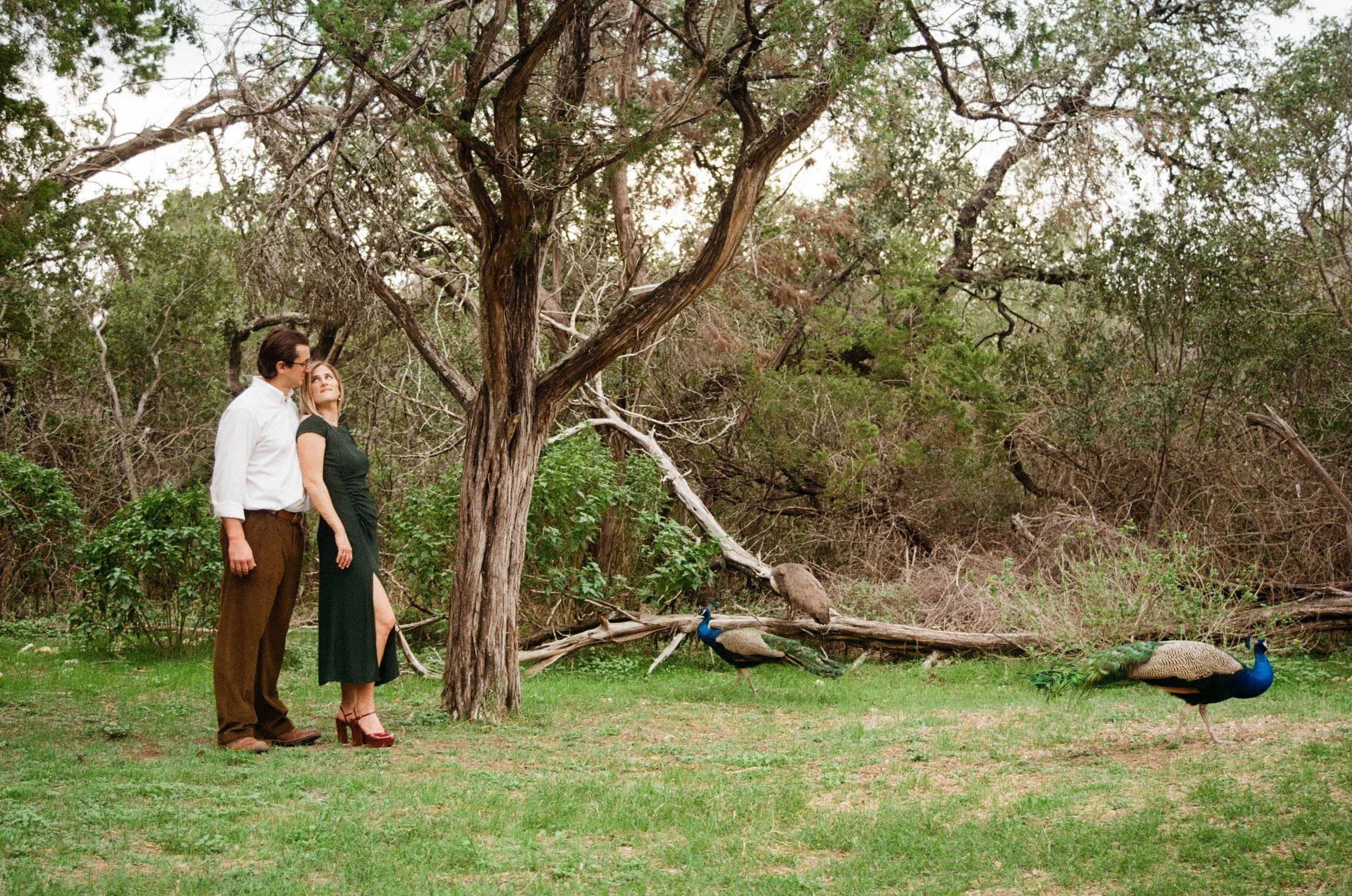 Couple in garden with peacock