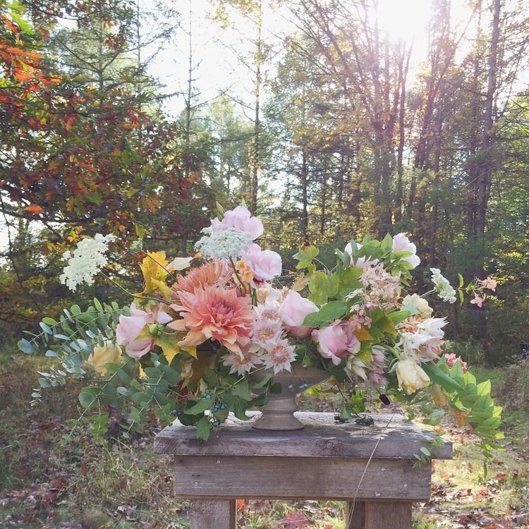 Little Flower School