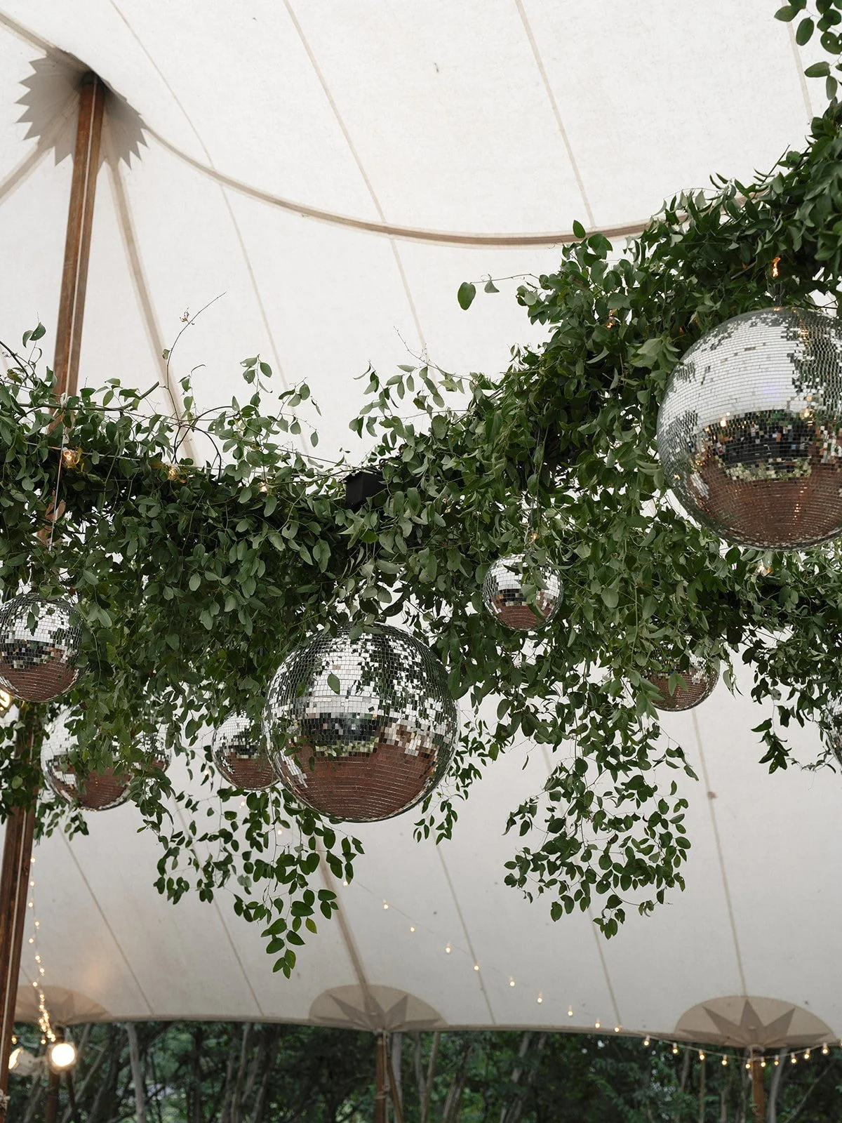 Modern Disco at the Clifton Inn.jpg