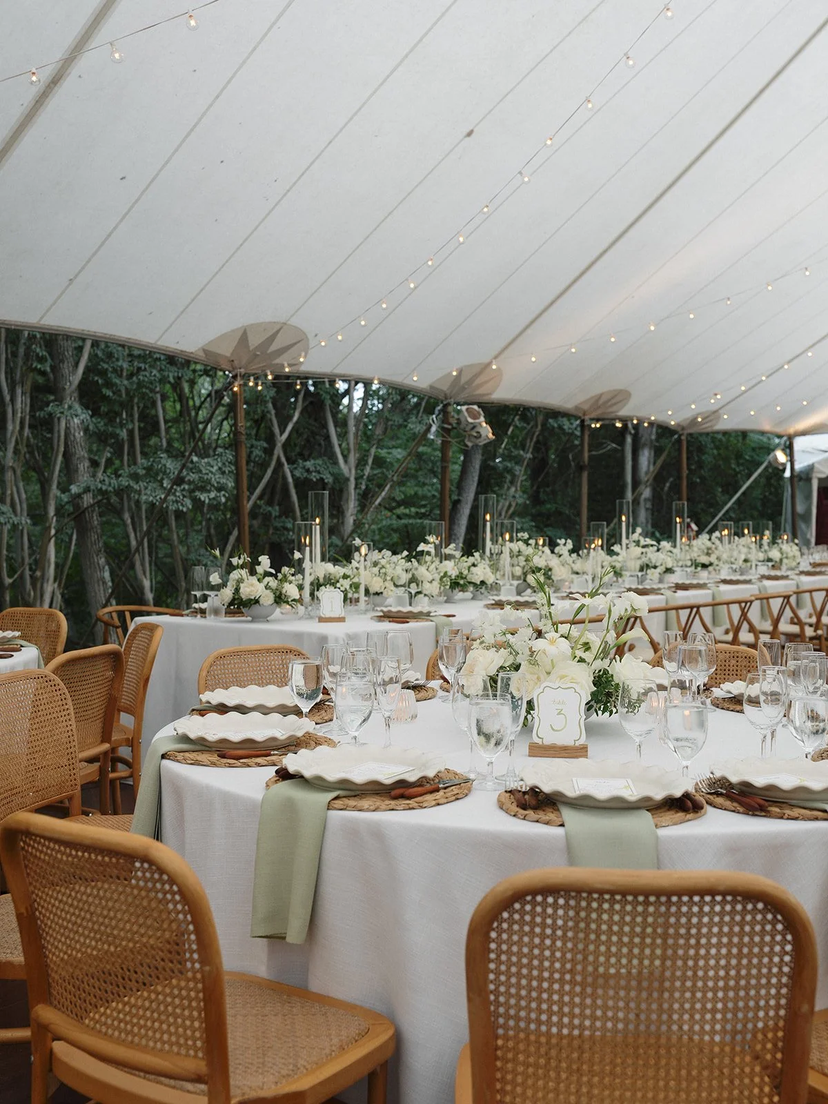 Modern Disco at the Clifton Inn (21).jpg