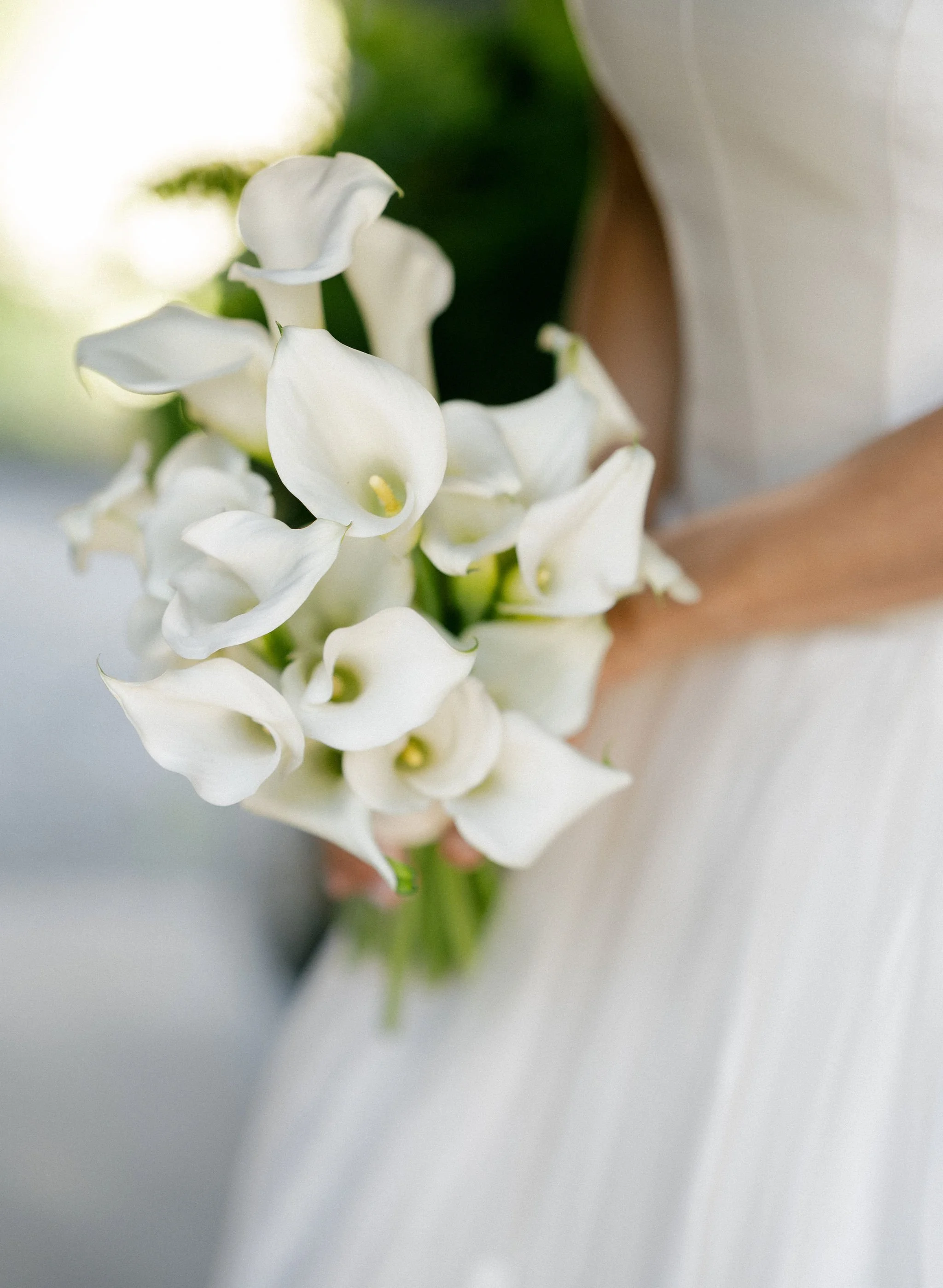 Sculptural Hydreangeas at Blue Hill1.JPG