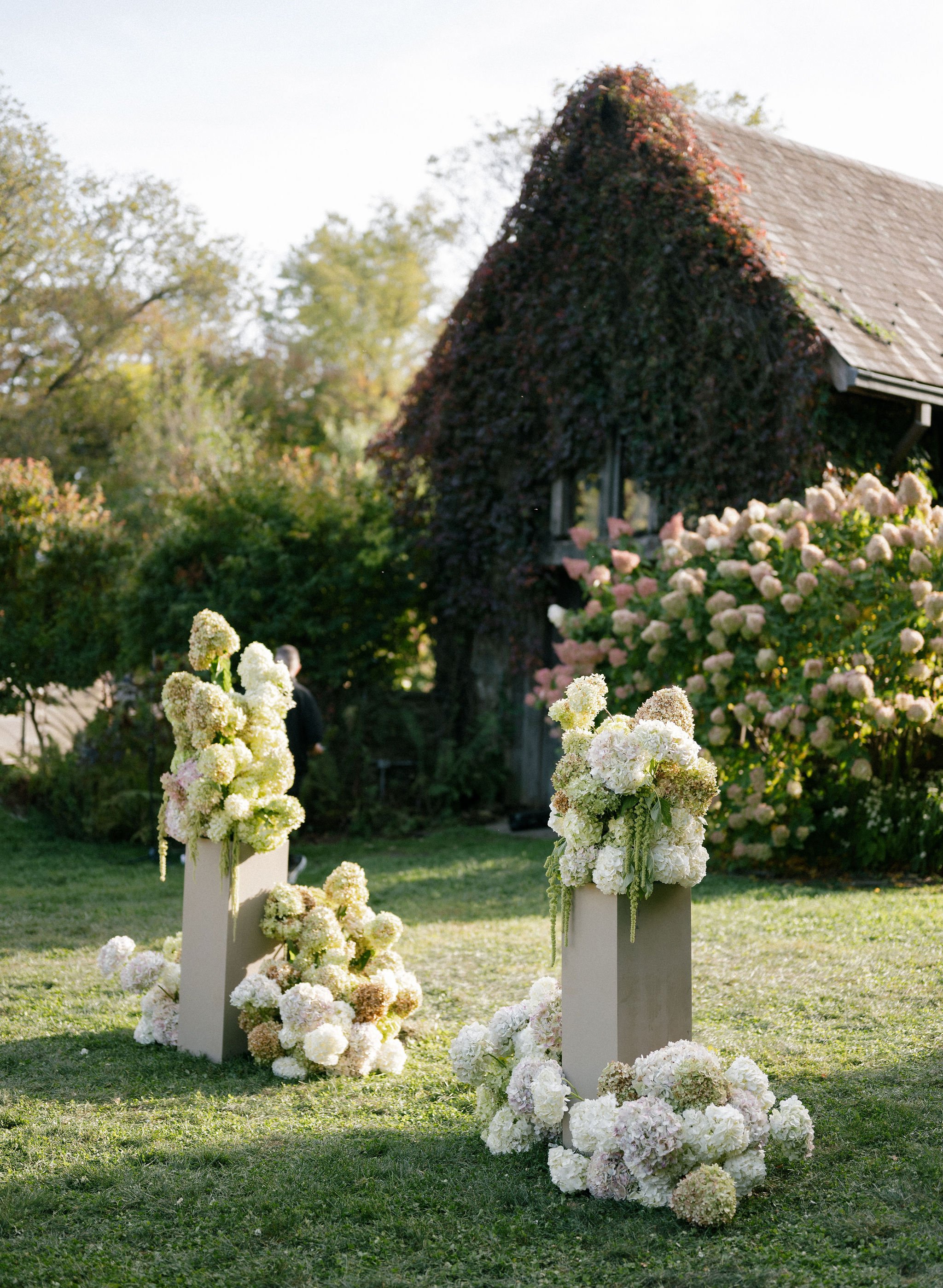 Sculptural Hydreangeas at Blue Hill5.JPG