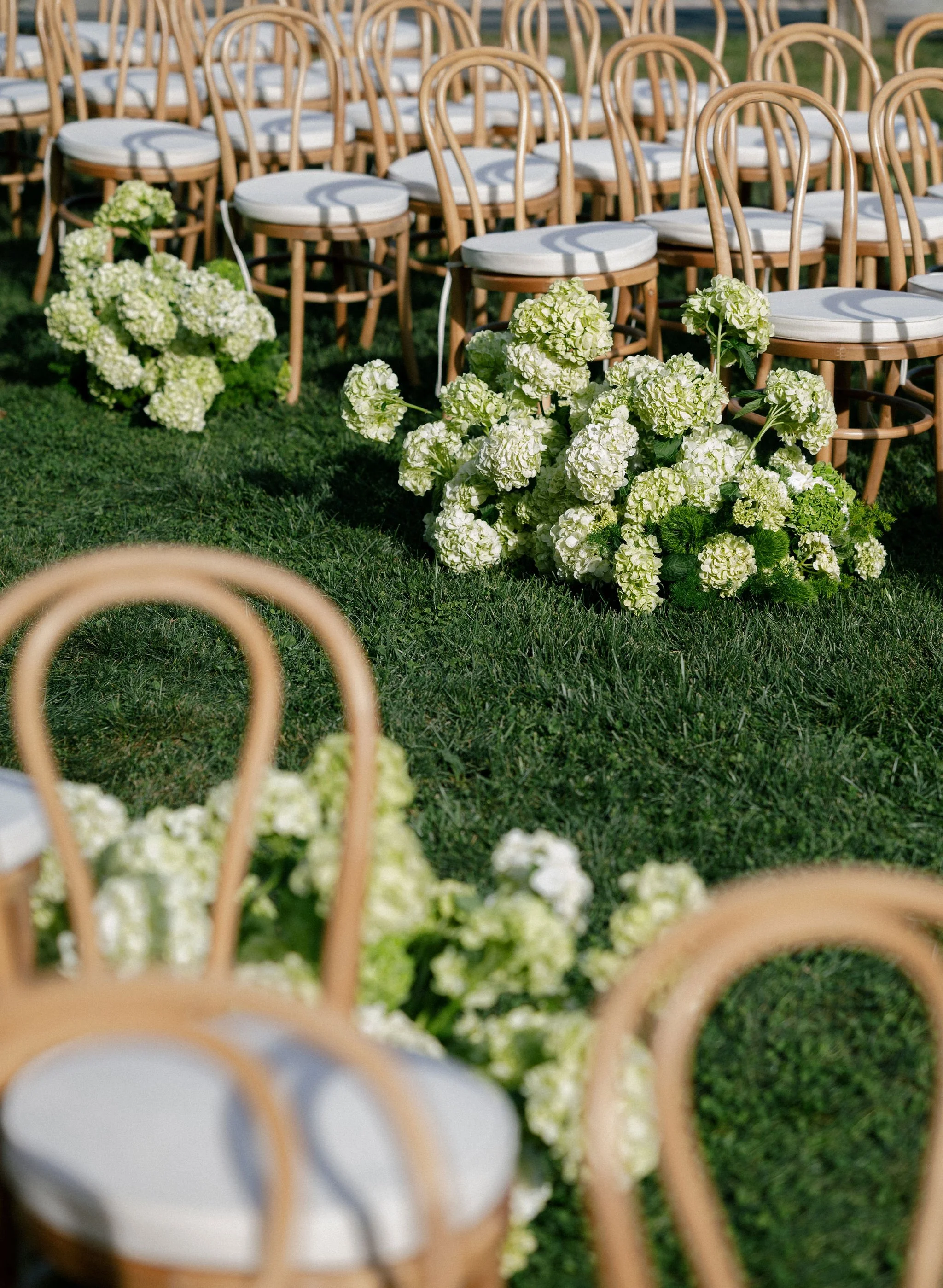 Sculptural Hydreangeas at Blue Hill7.JPG