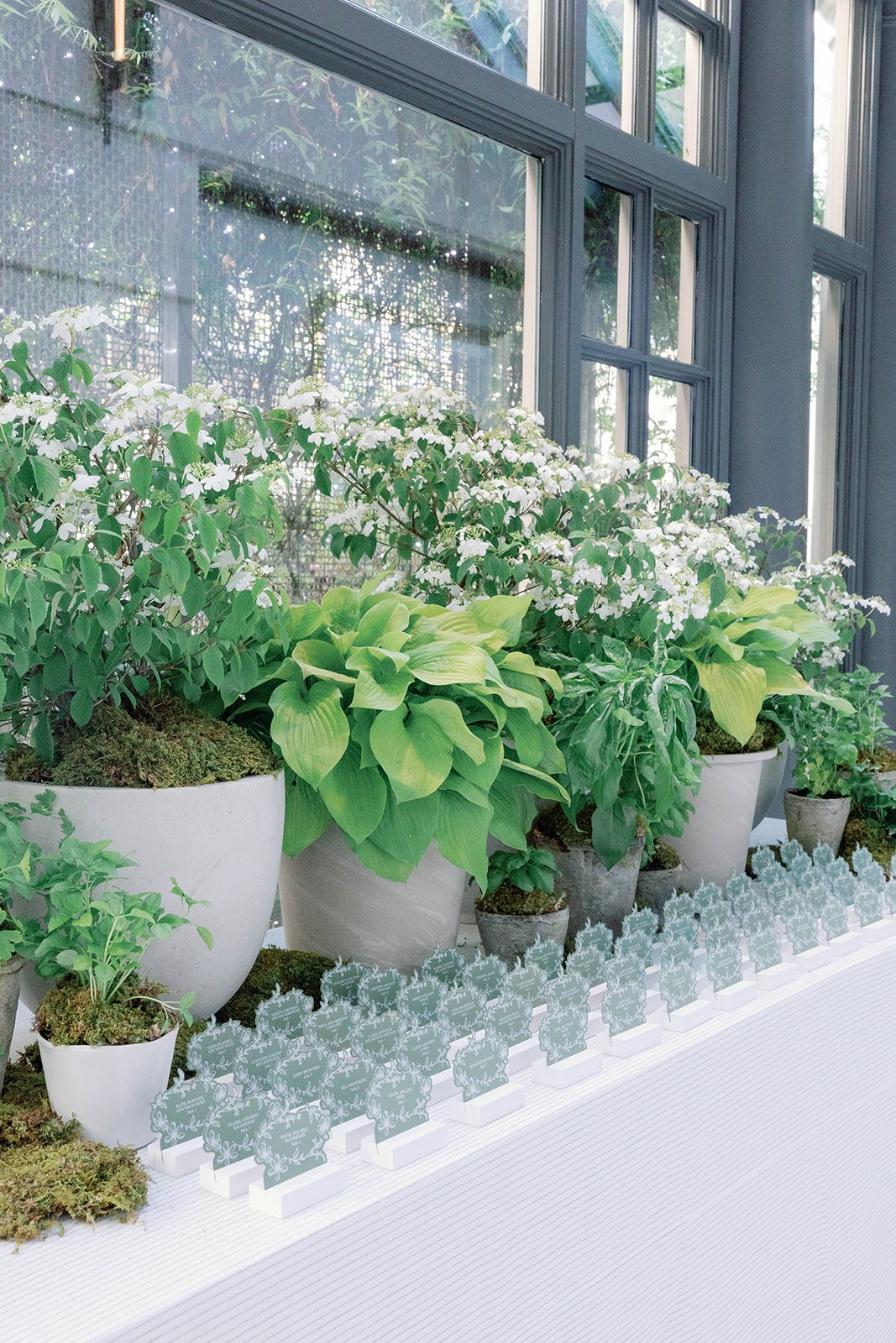 Timless Elegance At The Fairmont            .jpg