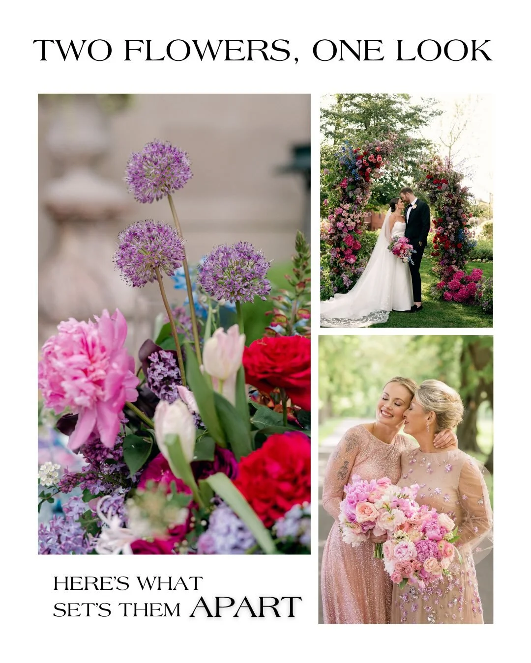 This is one of the most common conversations we have with clients.

You&rsquo;re drawn to a certain look, but what creates that look can vary depending on the season. Some blooms are only available for a short window, while others give us more flexib