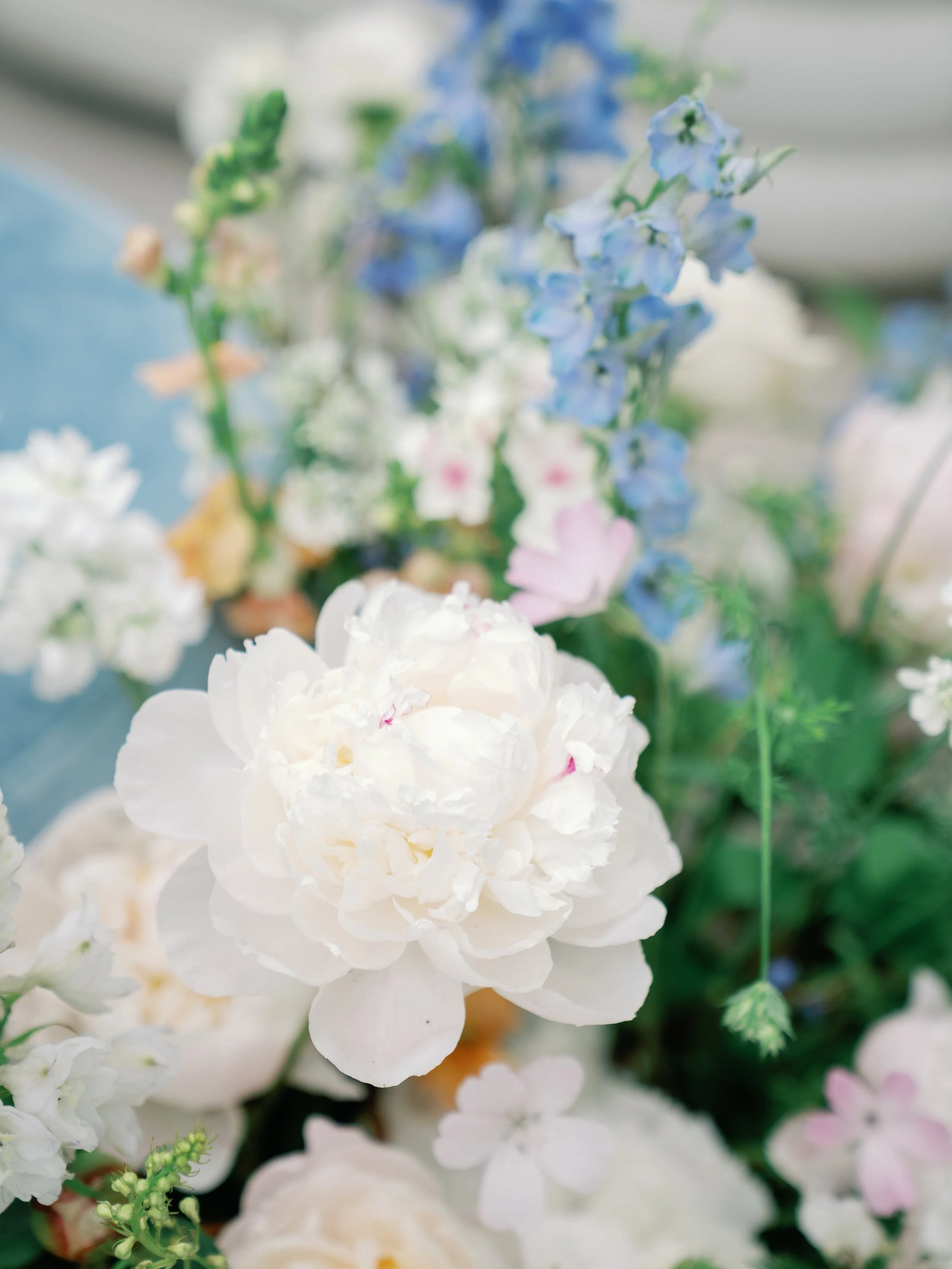 Pastels at Ritz Carlton Georgetown .jpg