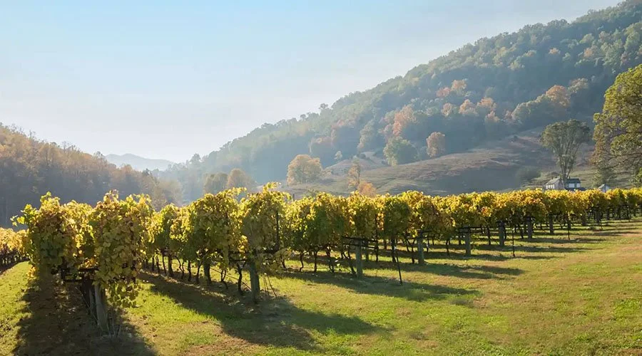 Viognier and Volts: Rural Small Business Support Virginia’s EV Adoption
