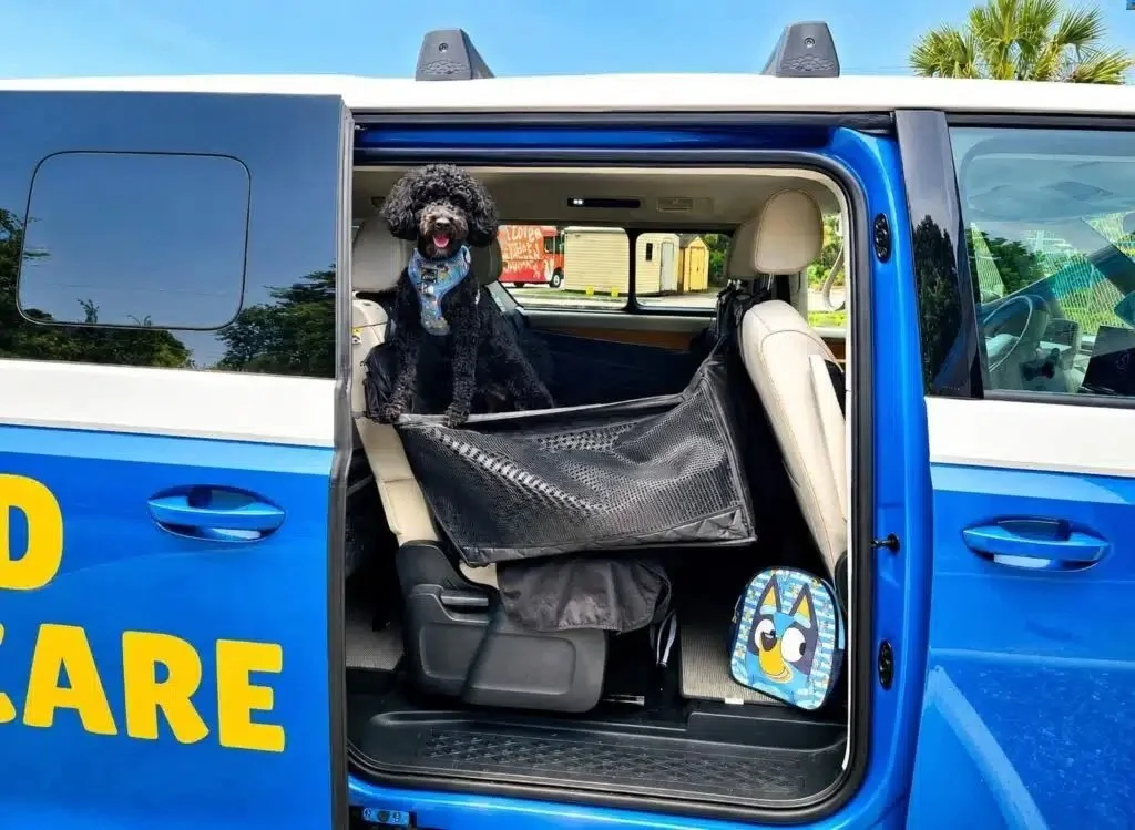 Dogs Ride Electric on Barkyard's Pup Bus
