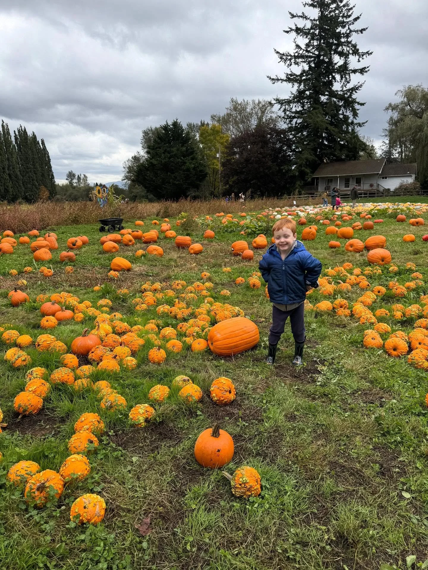 One of our favorite family traditions each year is our visit to @fallcityfarms the boys love picking out way too many pumpkins, the hayride, and all the photo ops! 😁🎃

We had great timing yesterday, just missing the rain. Do you have a favorite loc
