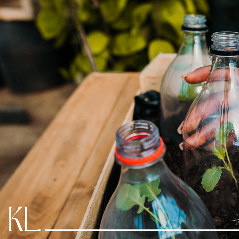 Sustainability at Home: Small Daily Choices with Big Impact