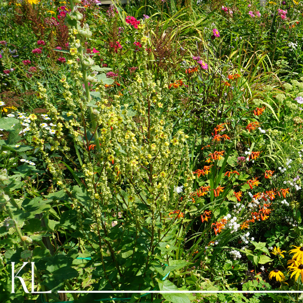 Creating Outdoor Spaces You’ll Actually Use: PNW Edition