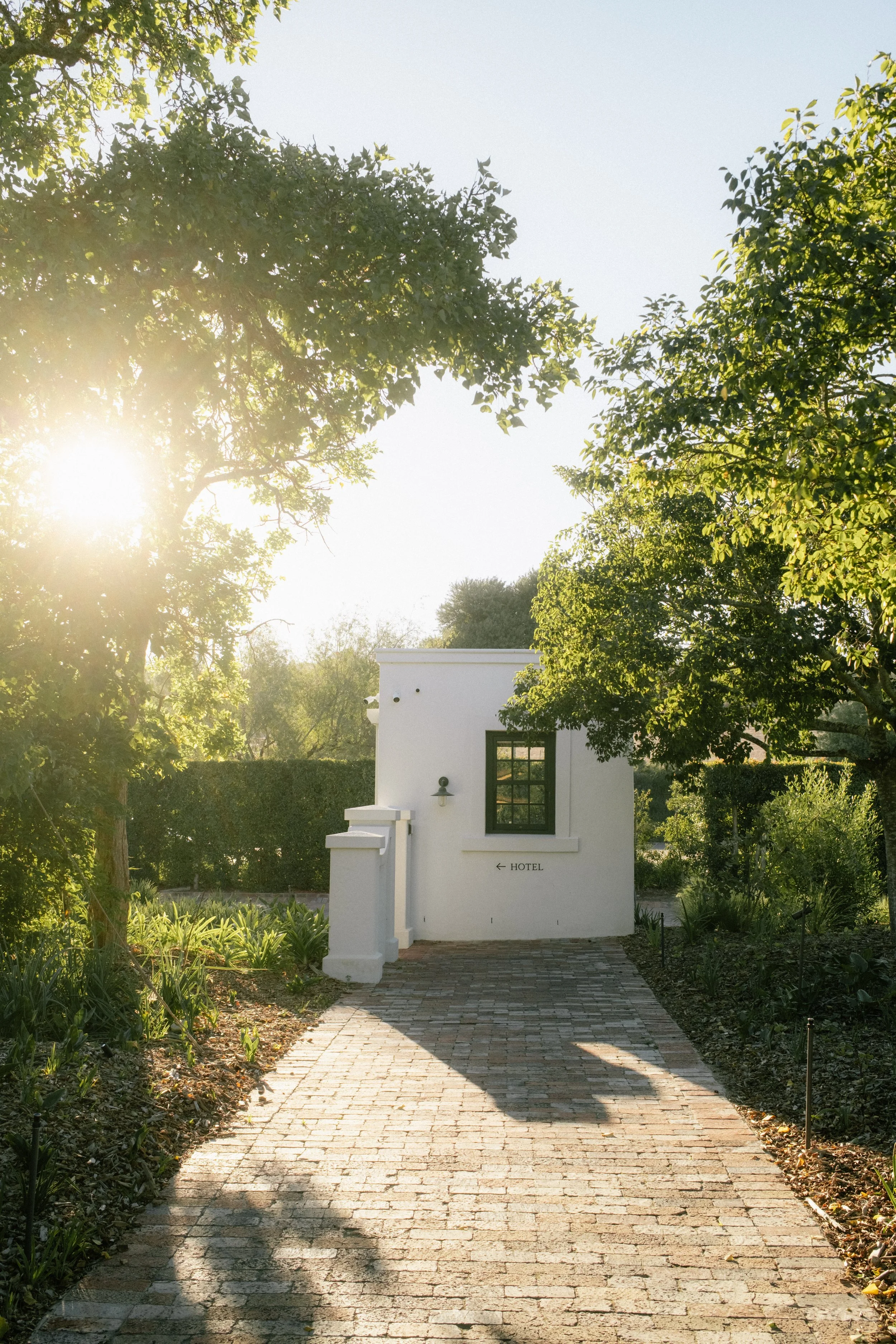 SPIER FARM X AVS-24.jpg