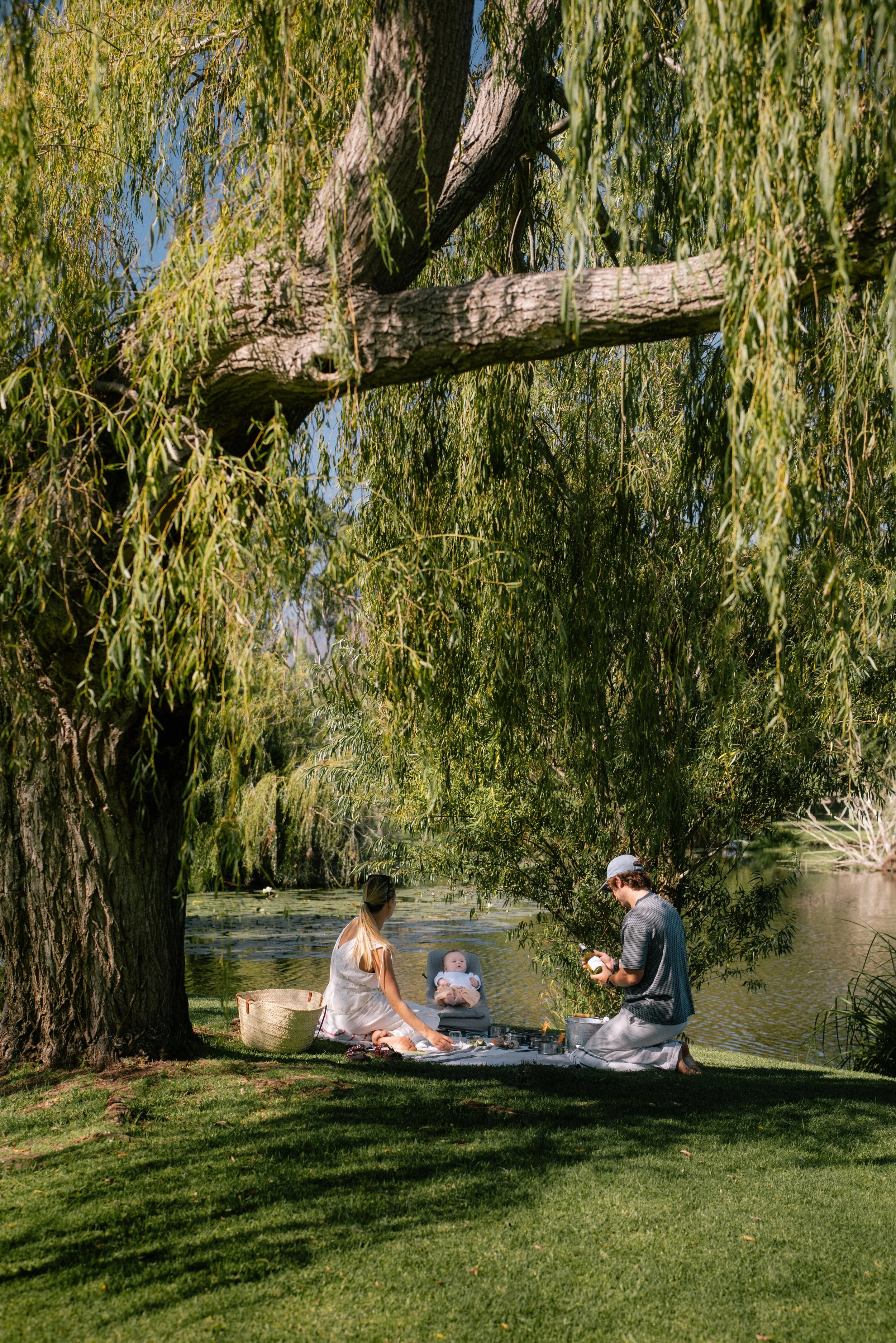 SPIER FARM X AVS-5.jpg