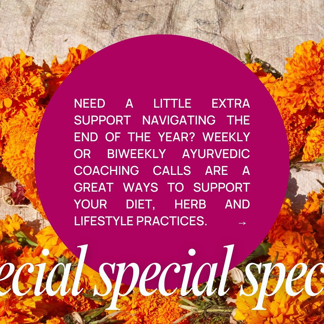 SEASONAL WELLNESS SPECIAL!!! ✨🍁🍂

Need a little extra support navigating the end of the year? Weekly or biweekly ayurvedic coaching calls with our founder, Anjali Deva, are a great way to support your diet, herb, and lifestyle practices. Sign up fo