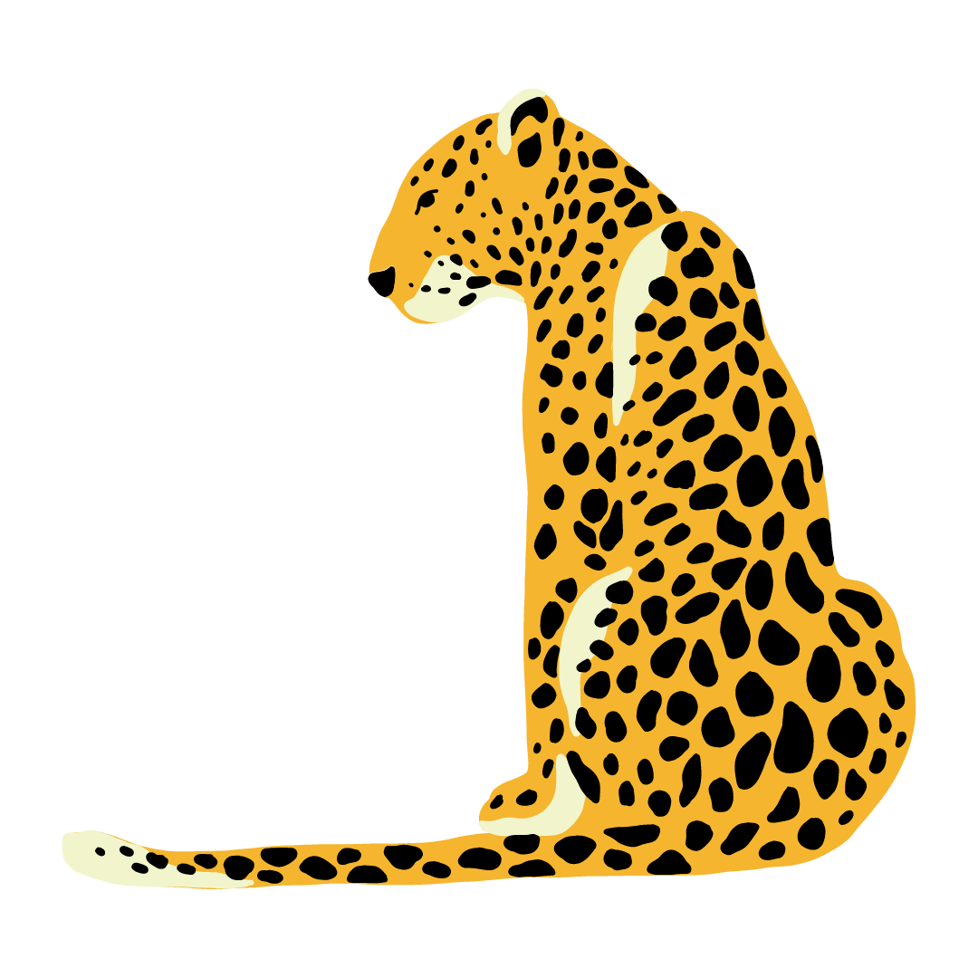 Illustration of a leopard sitting