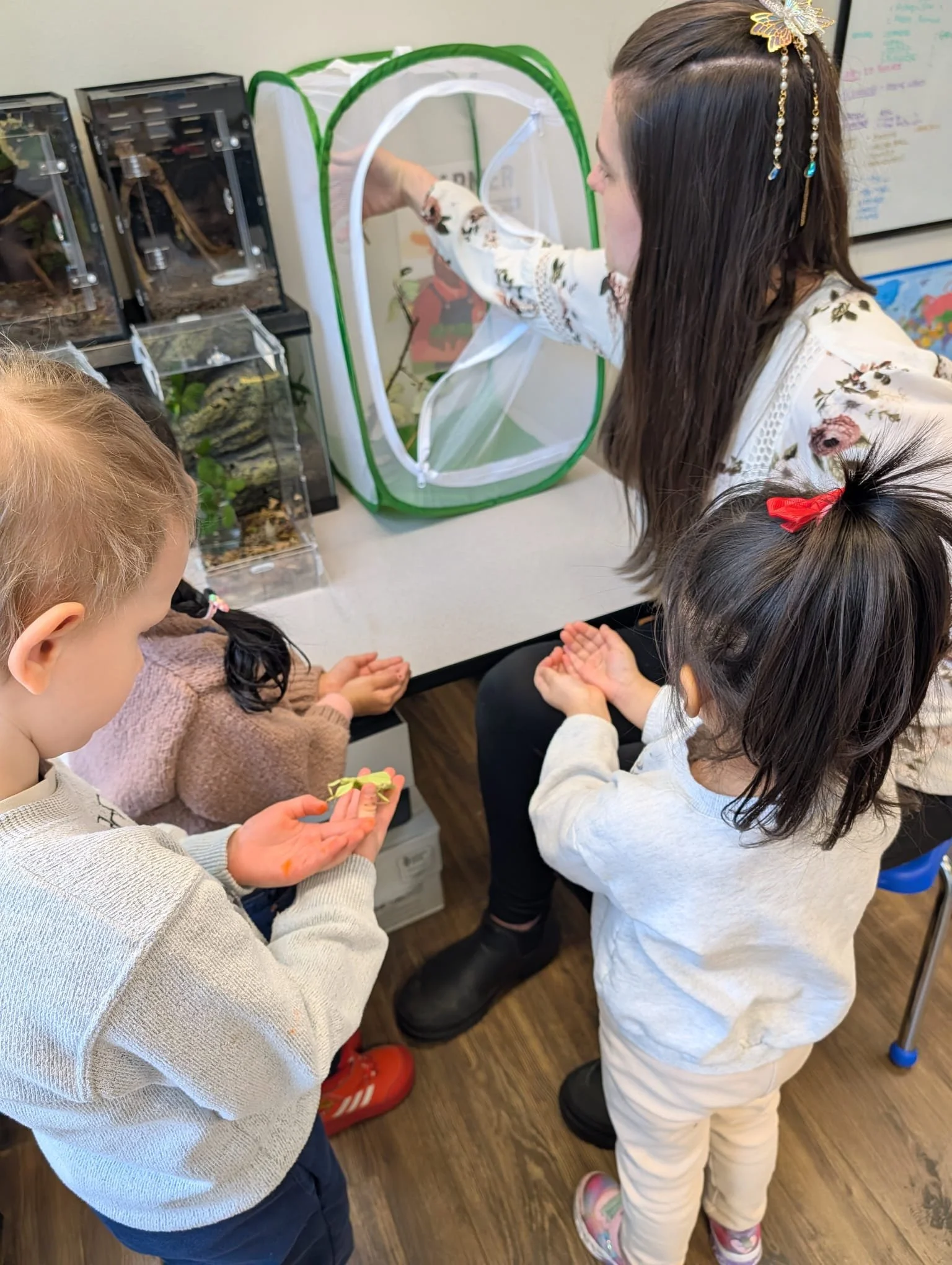 Quantum STEM School Preschool Pre-k Biology Bugs.jpg