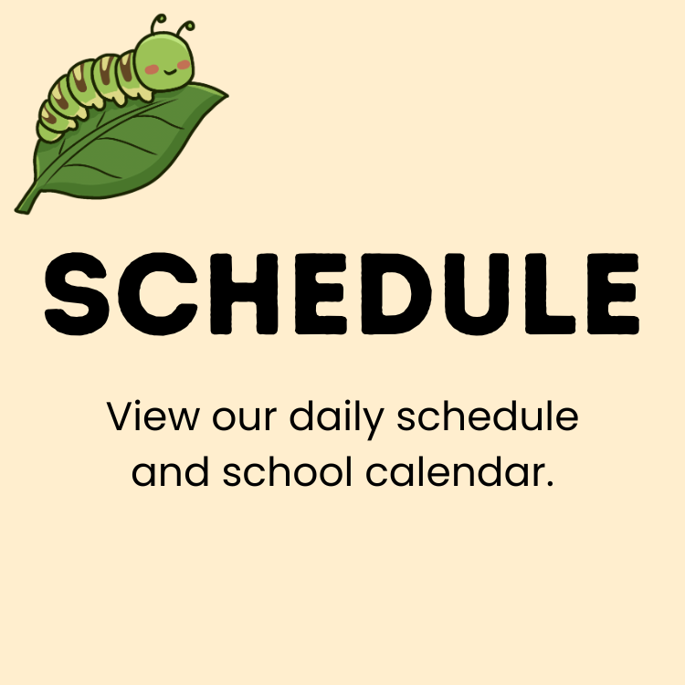 Schedule QSS.png
