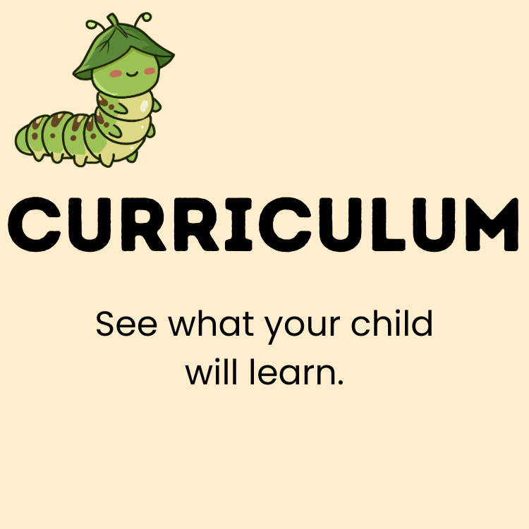 Curriculum QSS.png