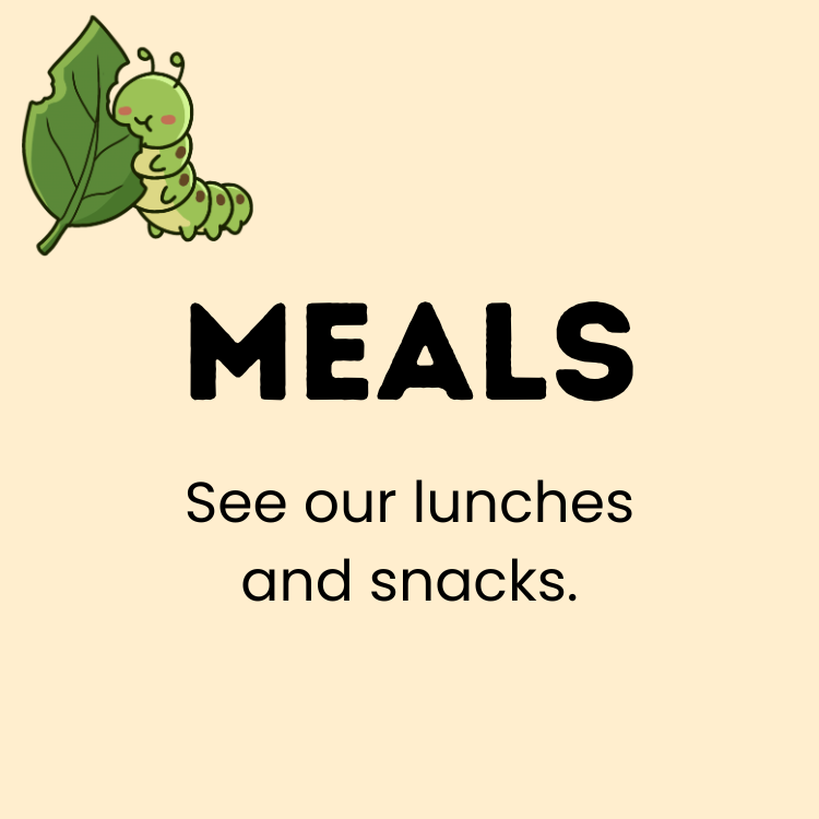 Meals QSS.png