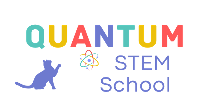 Quantum STEM School