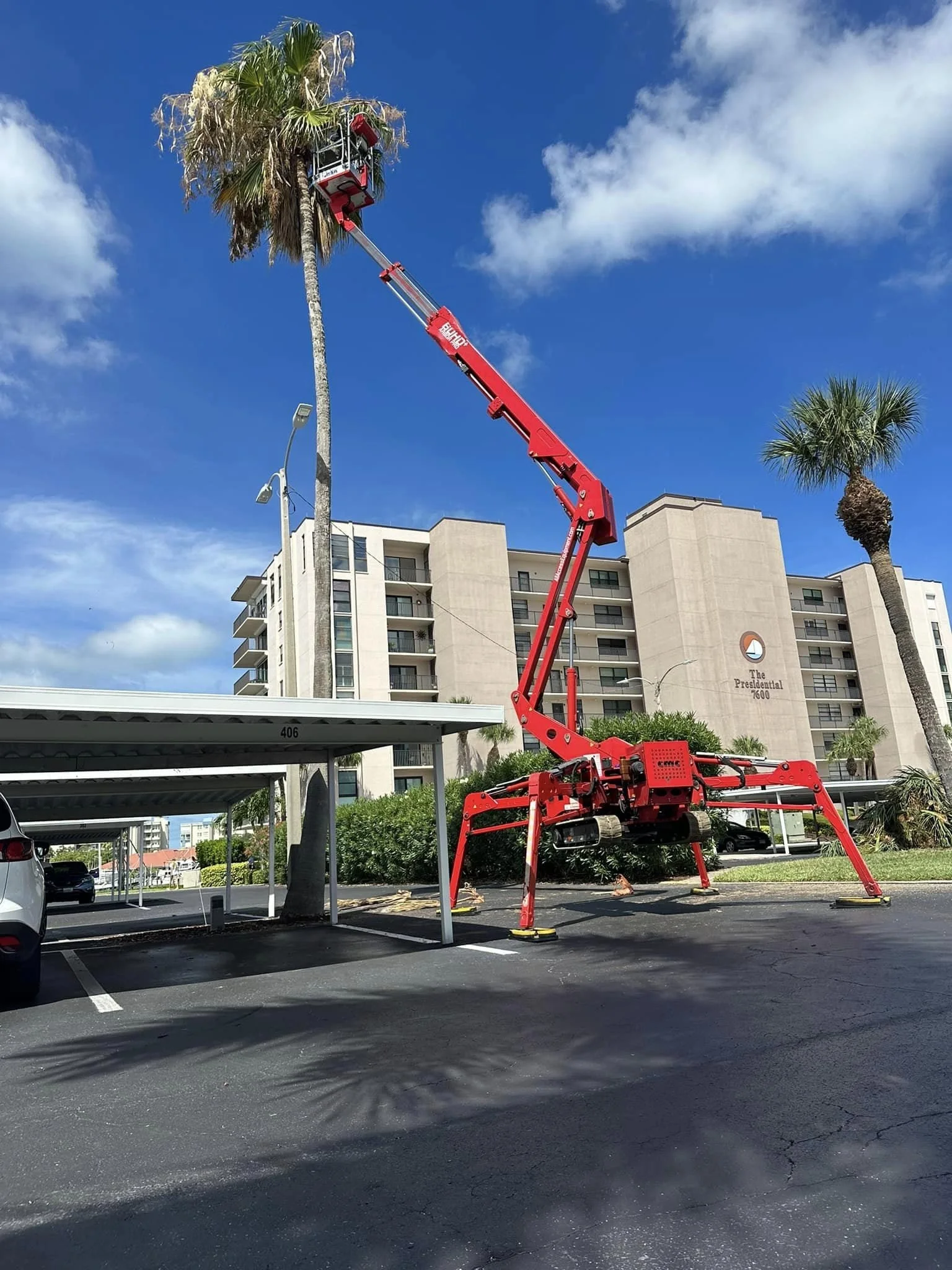 Top Shelf Tree Service & Landscaping