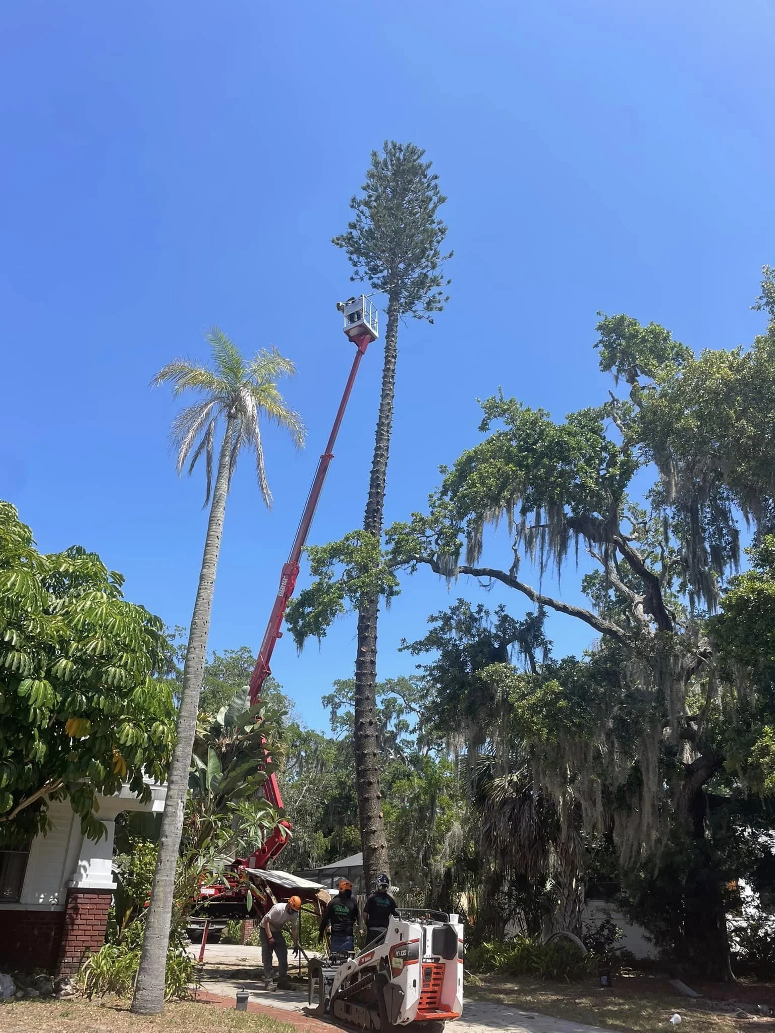 Top Shelf Tree Service & Landscaping