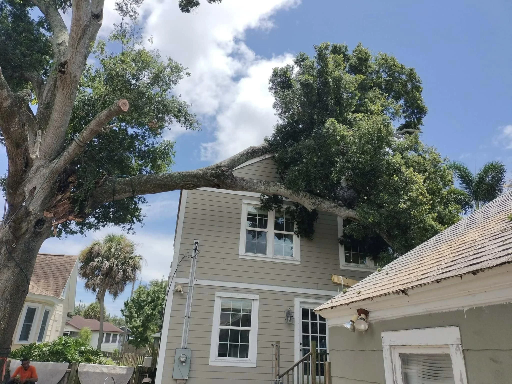 Top Shelf Tree Service & Landscaping