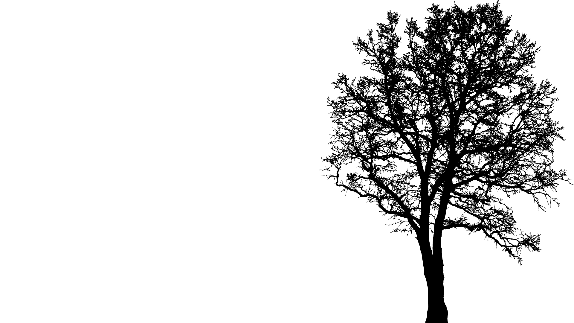 Top Shelf Tree Service & Landscaping