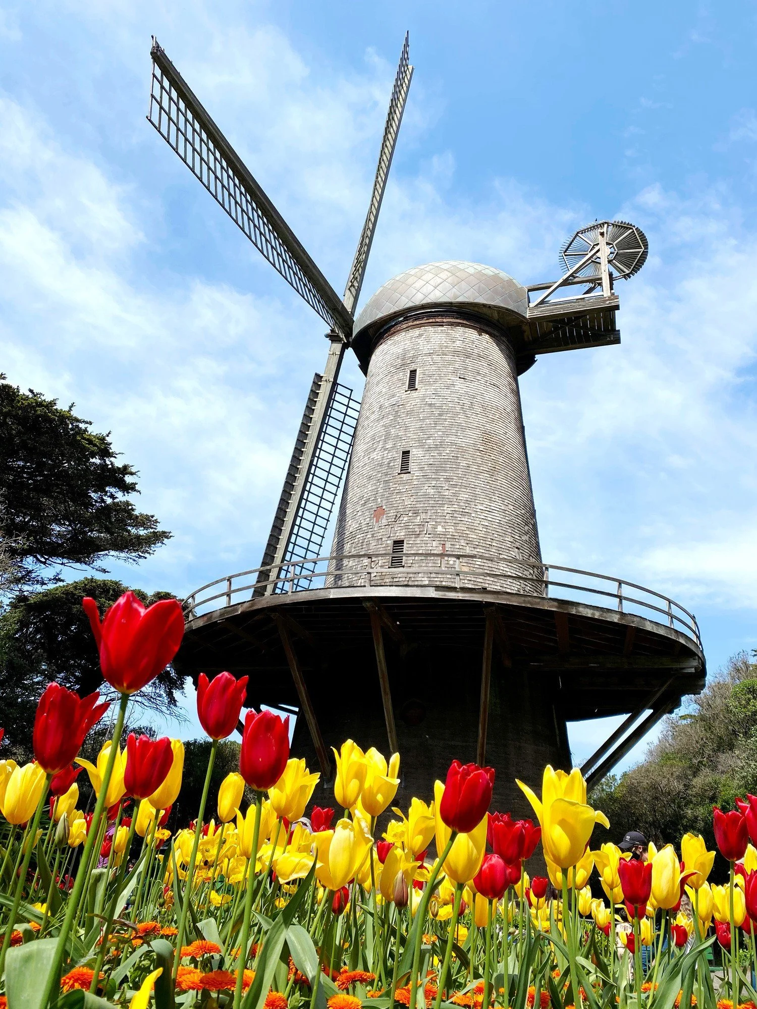 The Way Hikers: Golden Gate Park
