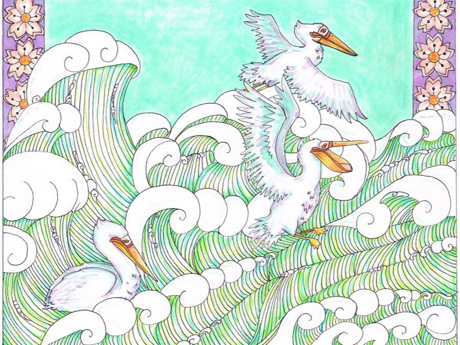 pelicans_and_waves.jpg