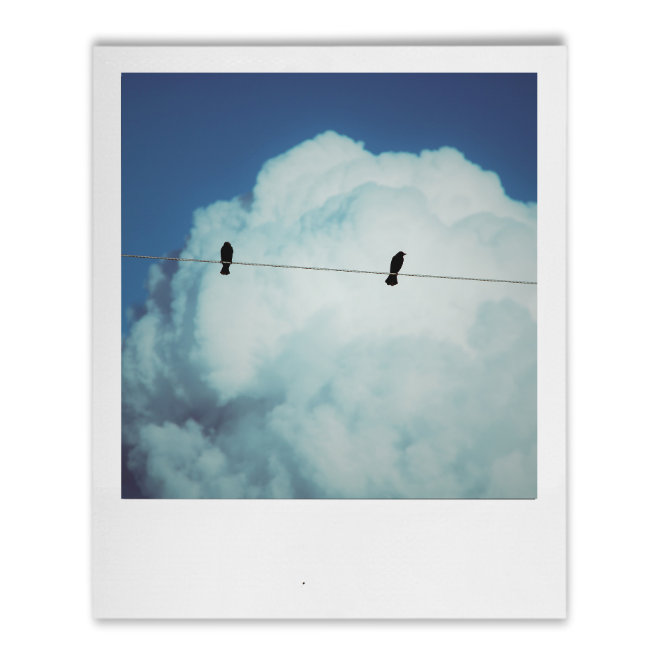 Civic Engagement | campaign