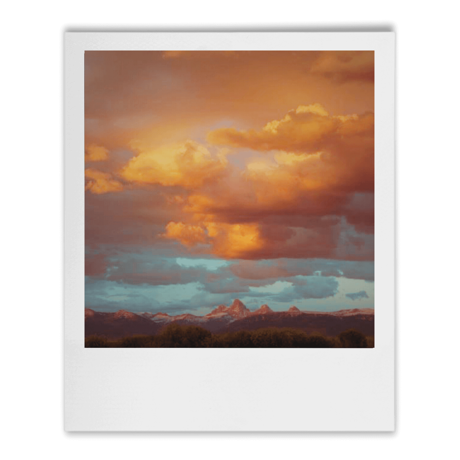 Conservation Chronicle